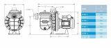 Sta-Rite 5P2R Pumpe, 8,5 m3/h, 230 V