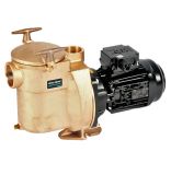 Sta-Rite 5BR Pumpe, 11 m3/h, 230 V